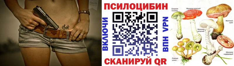 Псилоцибиновые грибы прущие грибы  где можно купить   Светлогорск 